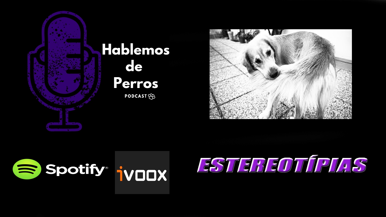 EPISODIO #17: Estereotípias
