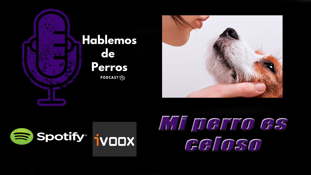 EPISODIO#9: Mi perro es celoso.