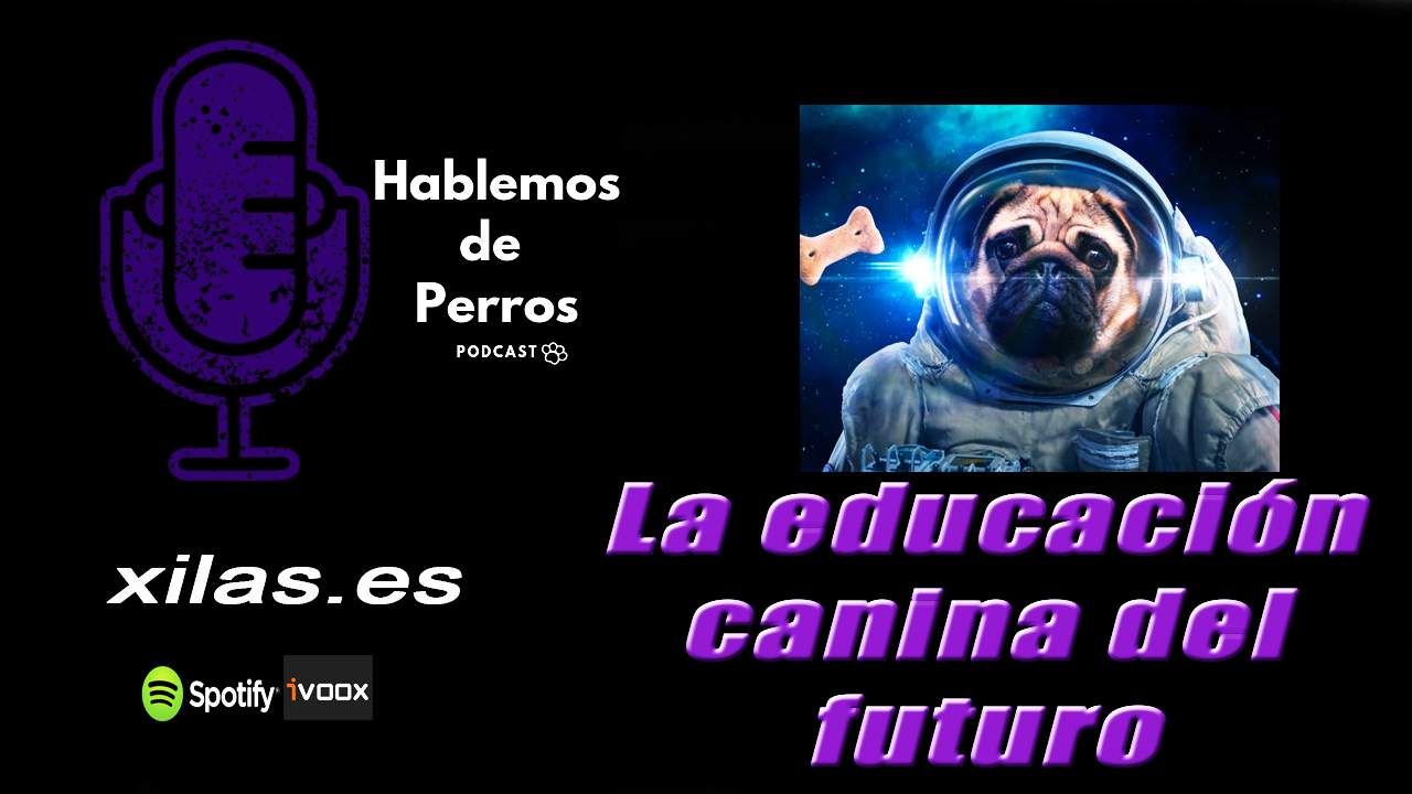 EPISODIO#24: La educación canina del futuro
