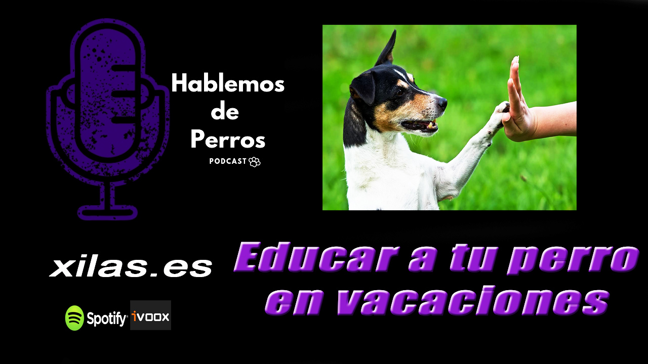 EPISODIO #37: Educar a tu perro en vacaciones