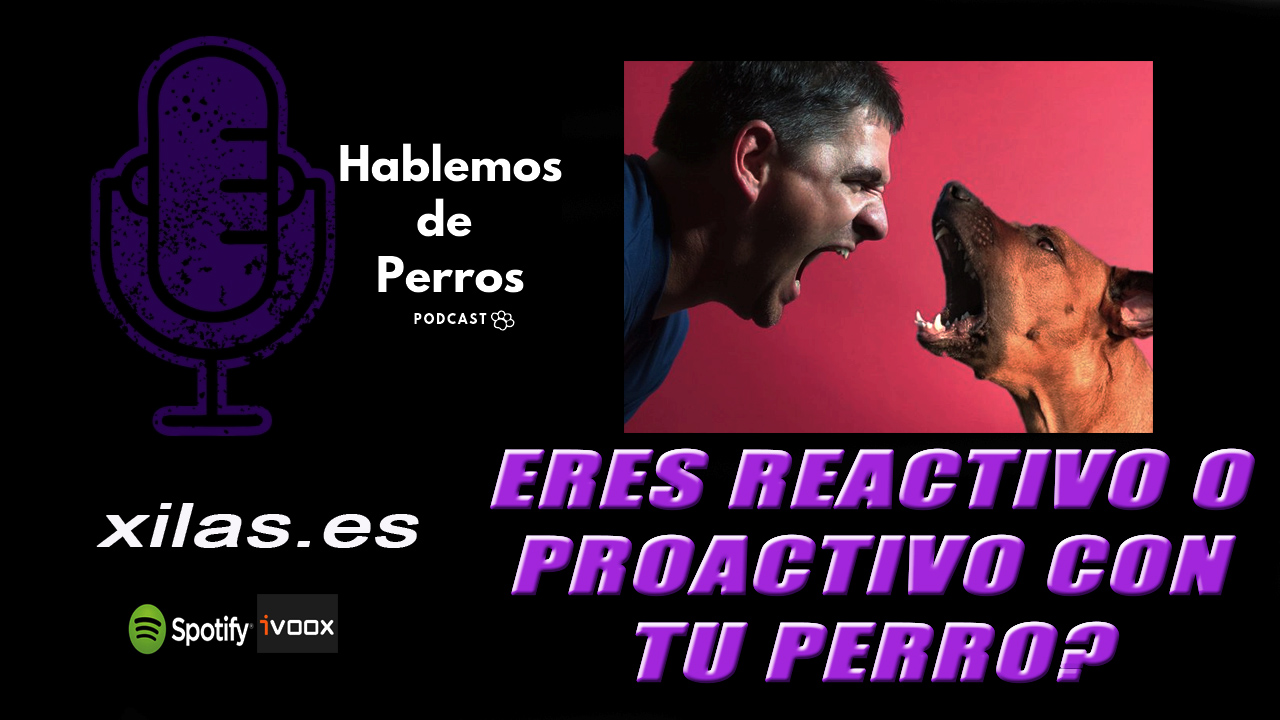 EPISODIO #46: Eres Proactivo o reactivo con tu perro