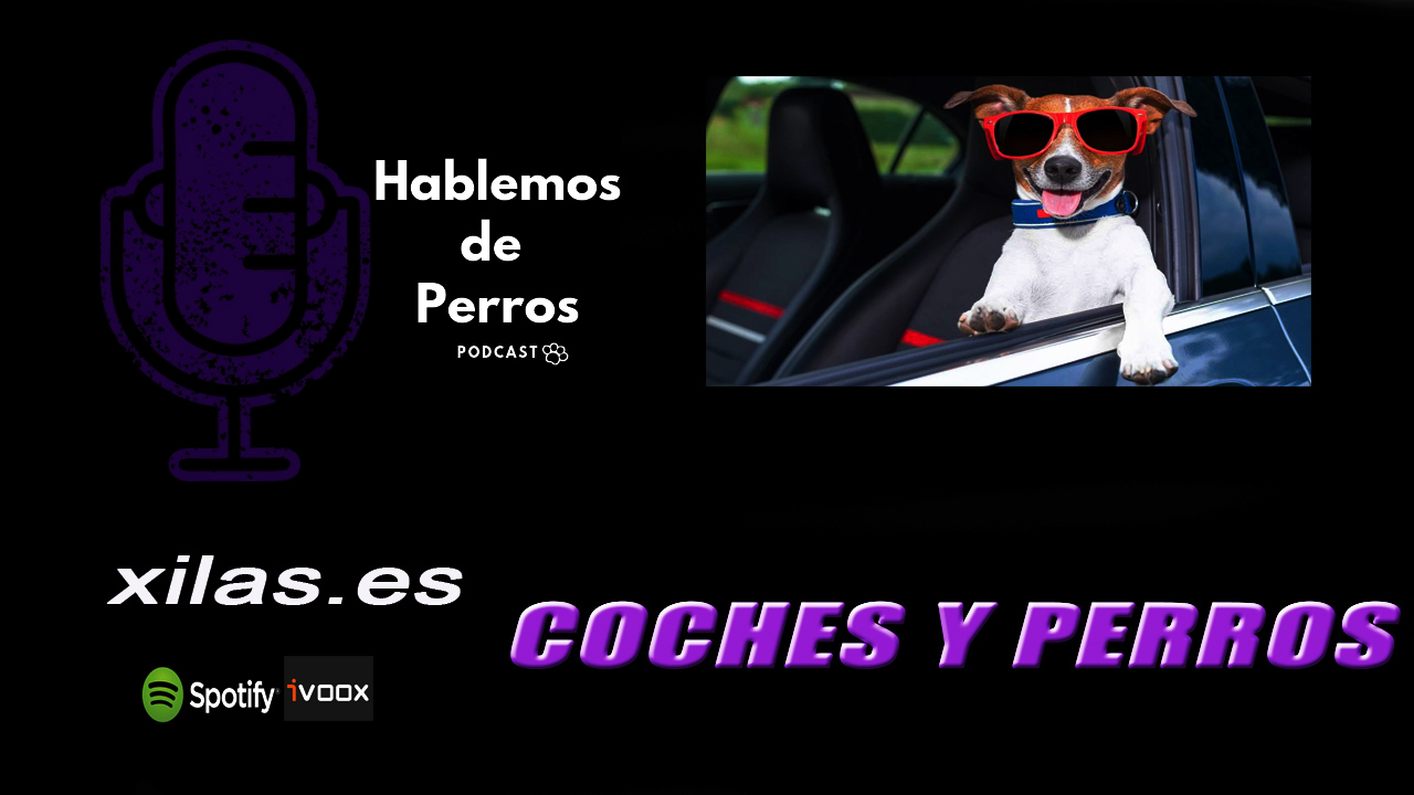 EPISODIO #48: Coche y perro