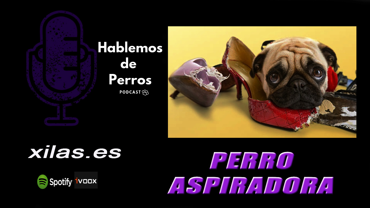 EPISODIO #49: Perros aspiradora