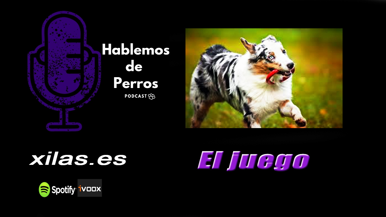 EPISODIO #47: Juego
