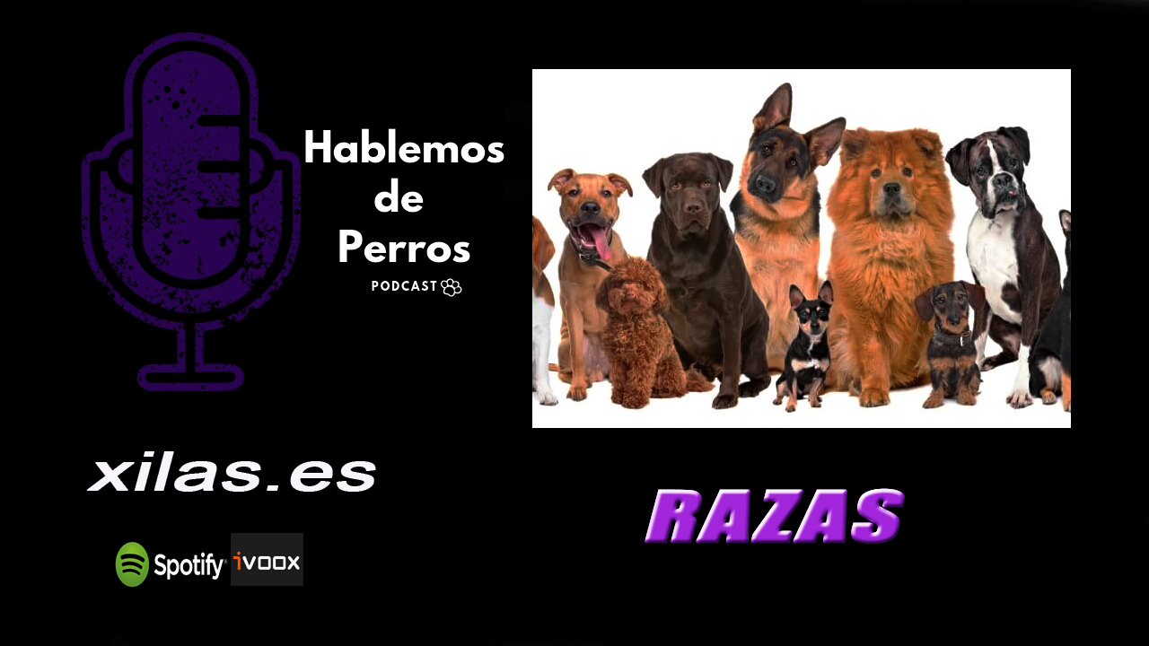 EPISODIO #51: Razas