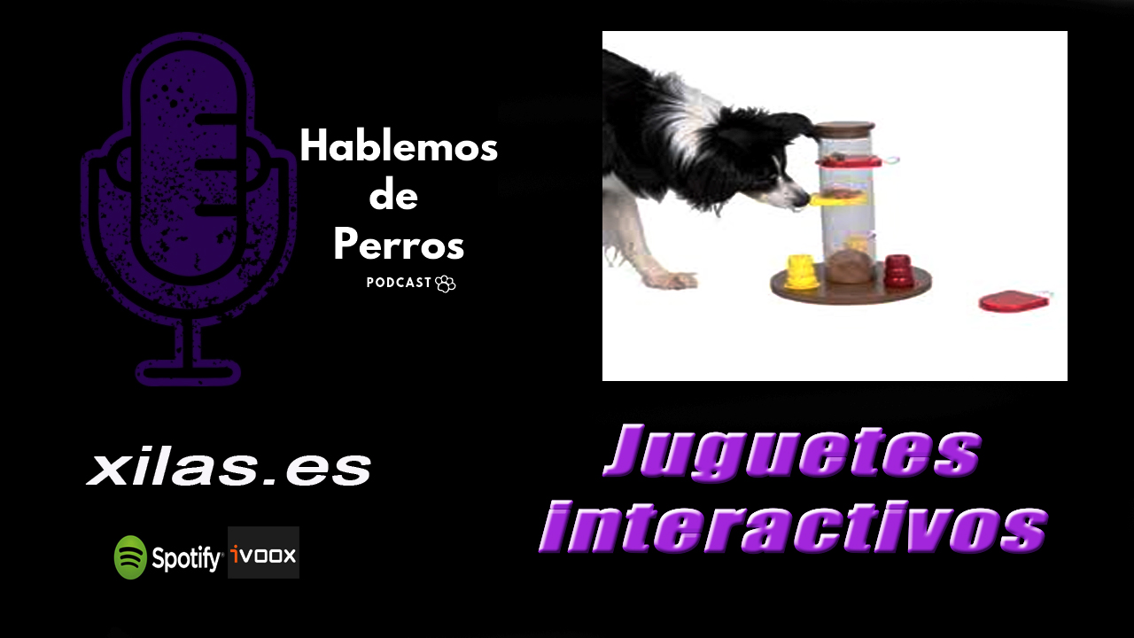 EPISODIO #53: Juguetes interactivos
