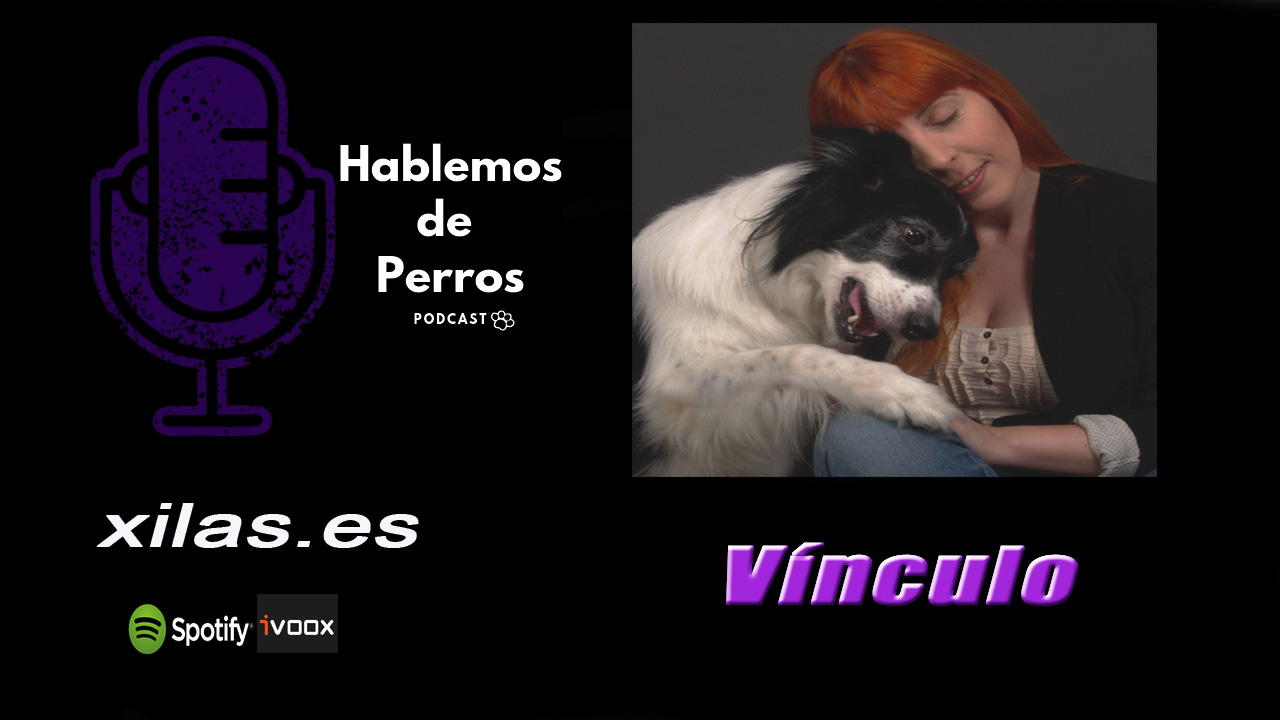 EPISODIO #55: Vínculo