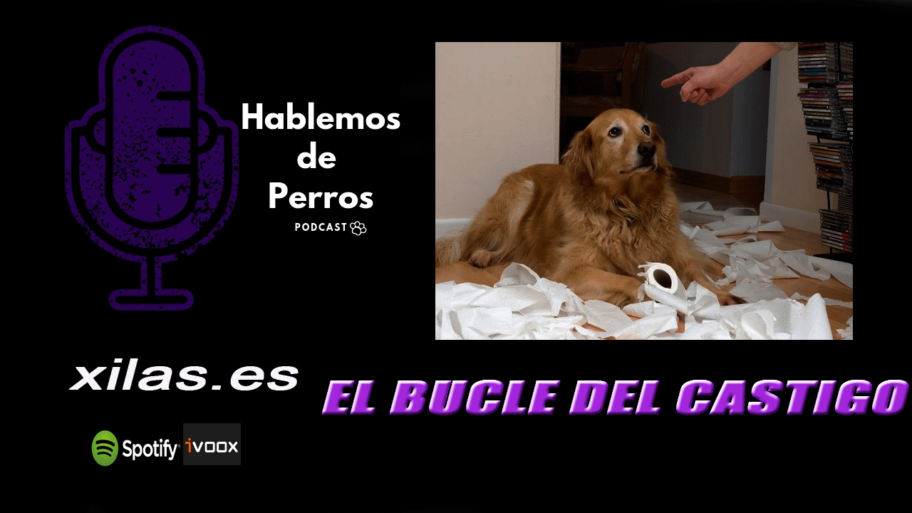 EPISODIO #62: El bucle del castigo