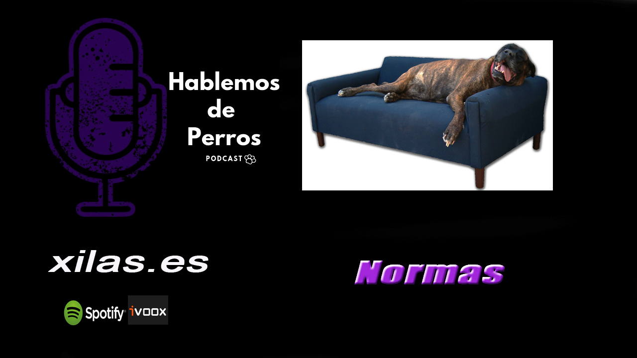 EPISODIO #64: Normas