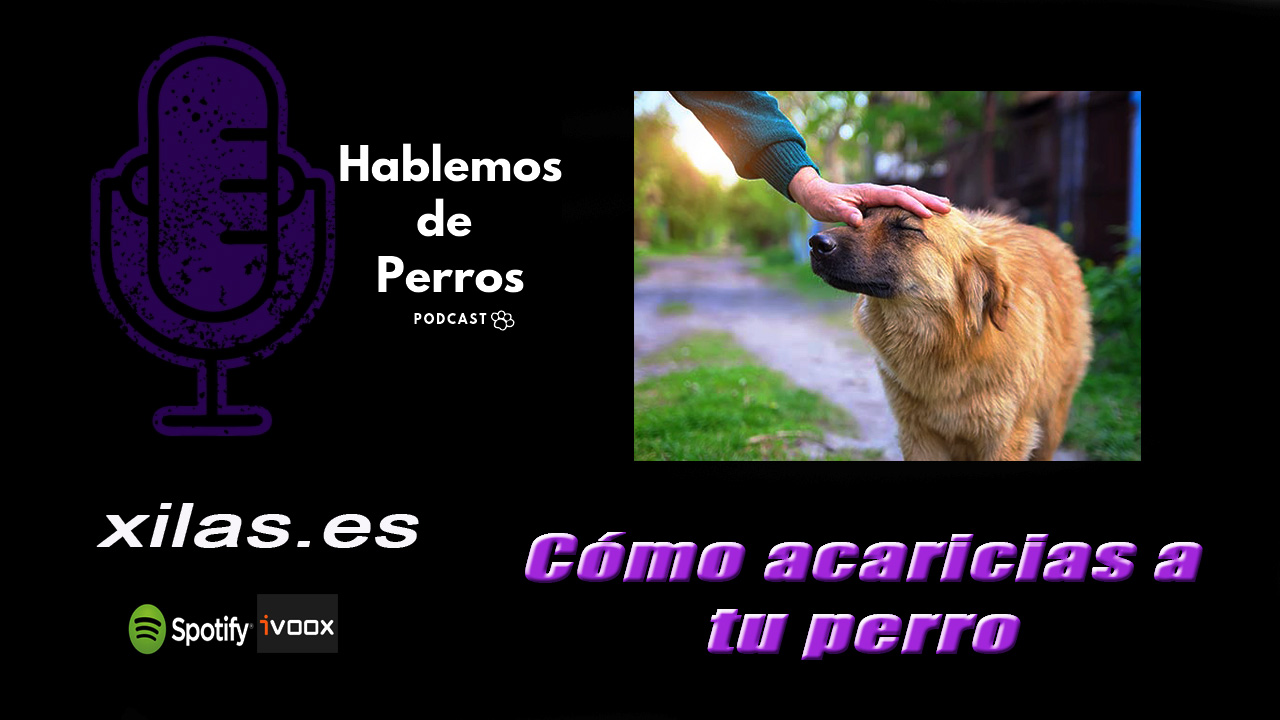 EPISODIO #63: Cómo acaricias a tu perro