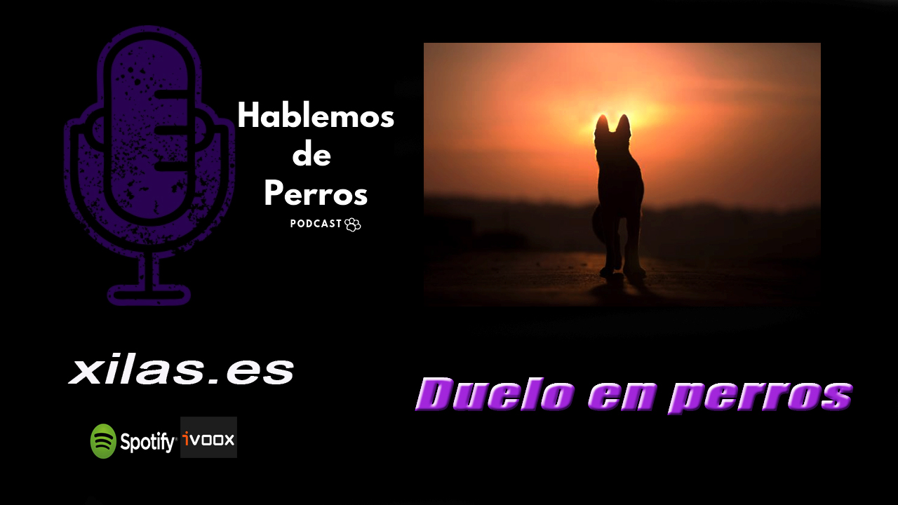 EPISODIO #65: El duelo