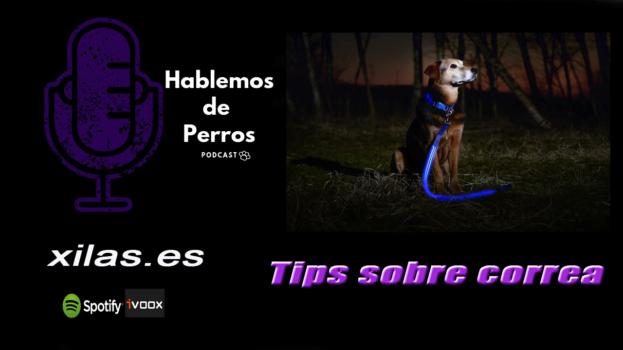 EPISODIO #60: Tips sobre correa