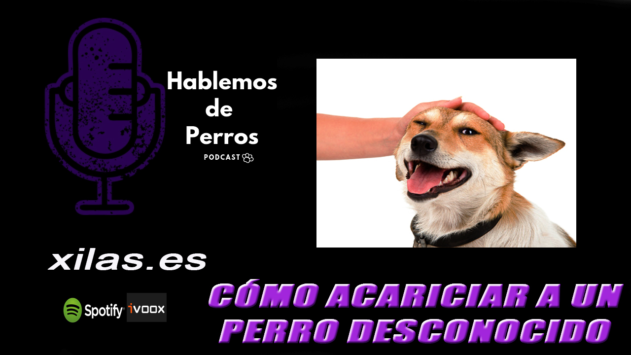 EPISODIO #67: Acariciar a un perro desconocido