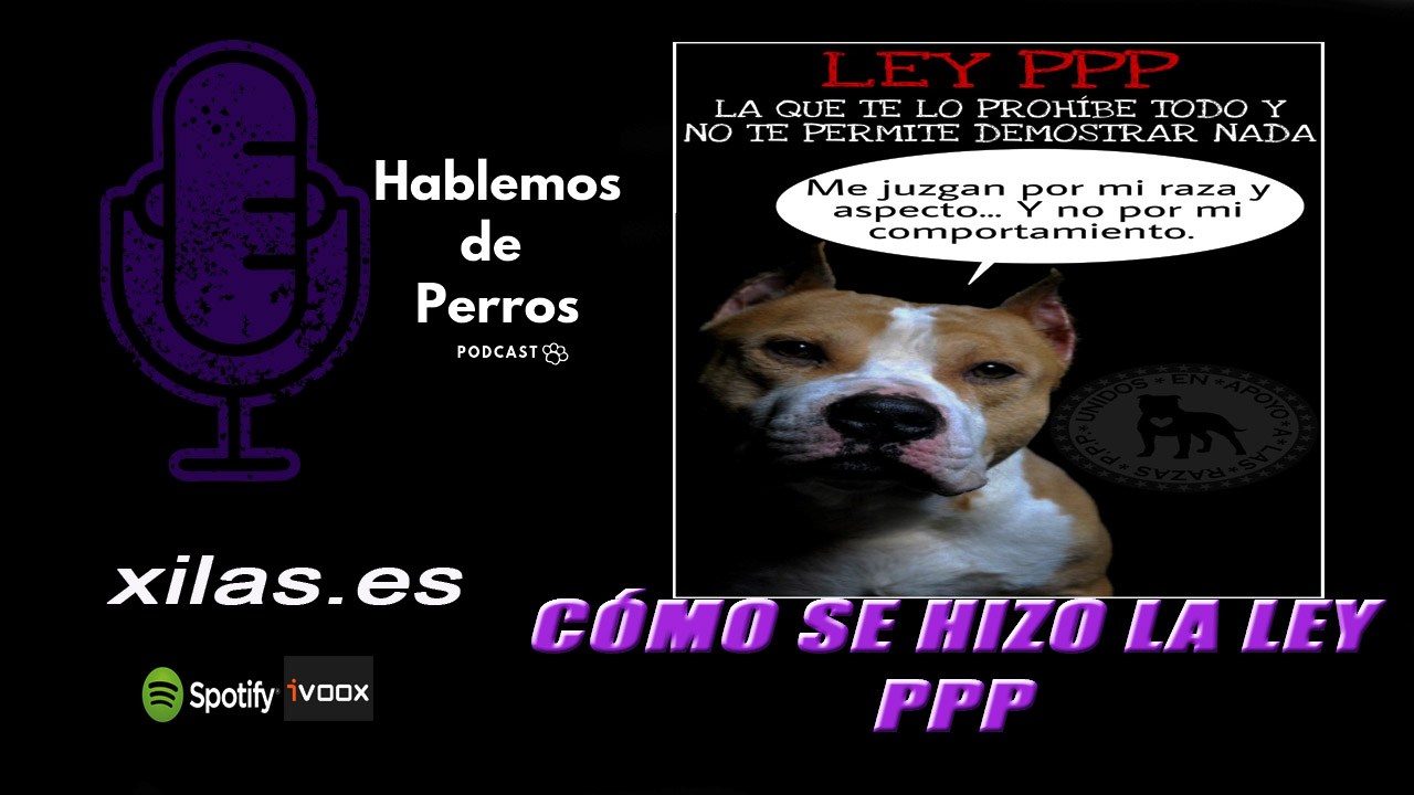 EPISODIO #68: Cómo se hizo la ley PPP