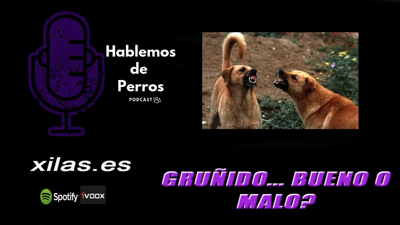 EPISODIO #71: Gruñido