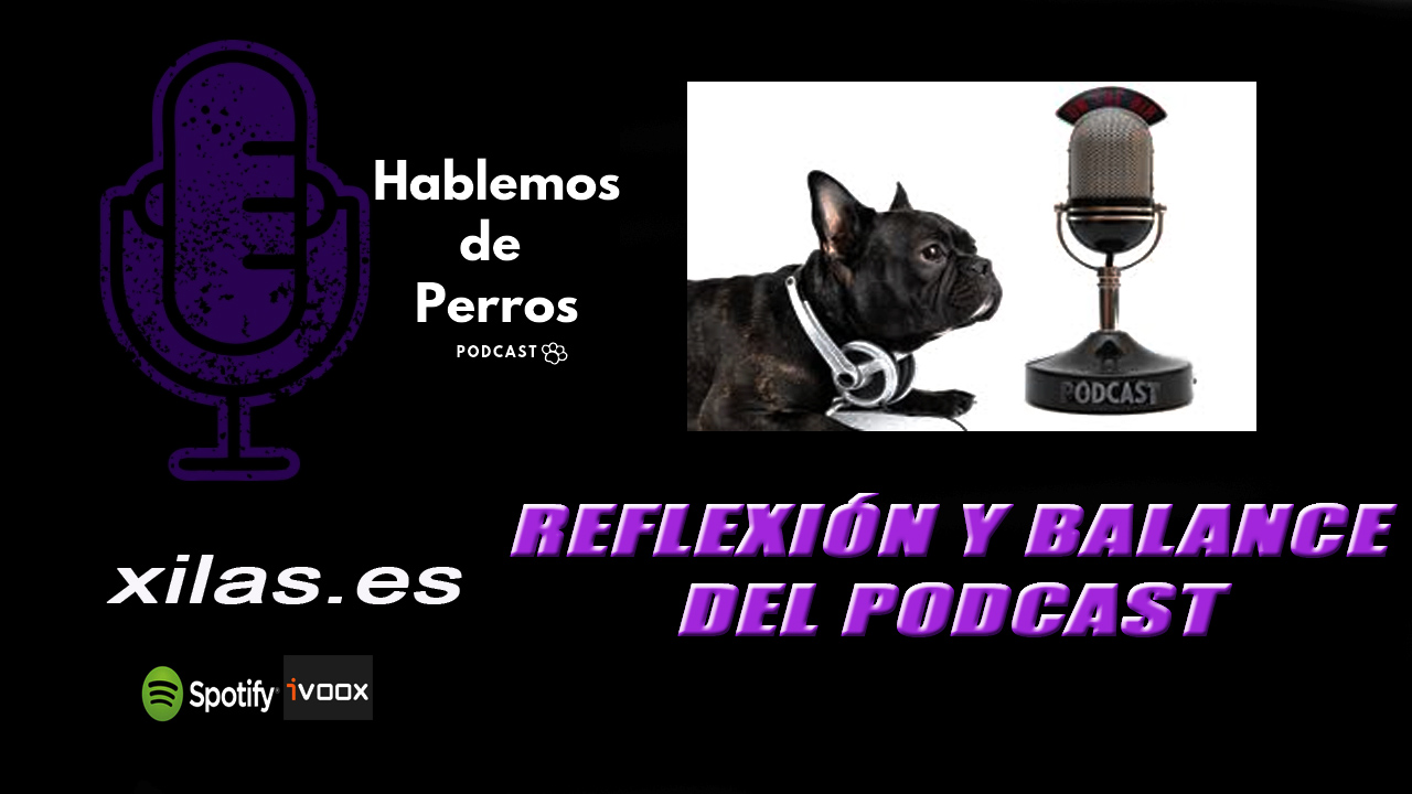 EPISODIO#78: Balance y reflexiones