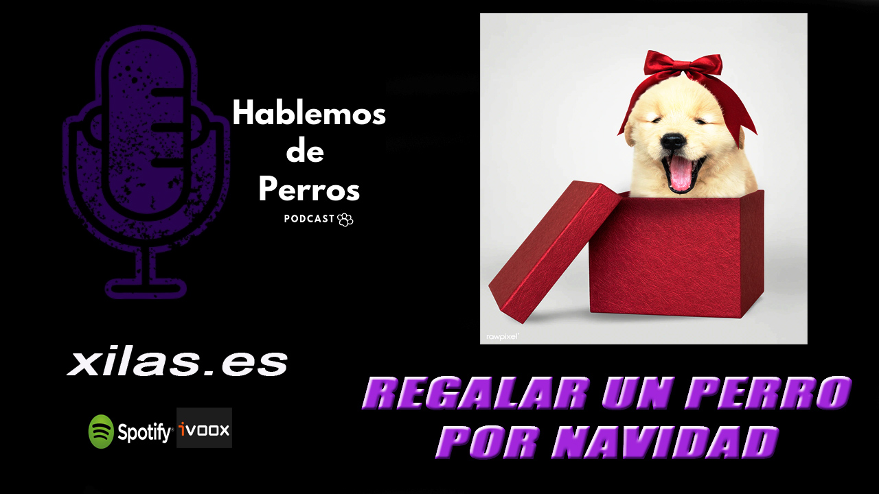 EPISODIO #70: Regalar un perro por navidad