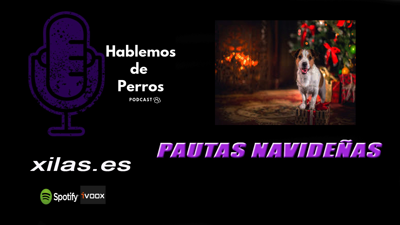 EPISODIO #75: Pautas Navideñas