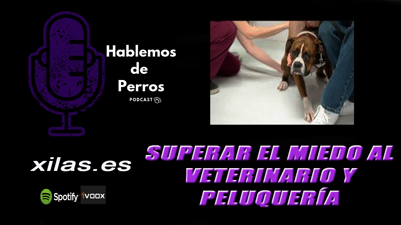 EPISODIO #80: Superar el miedo al veterinario