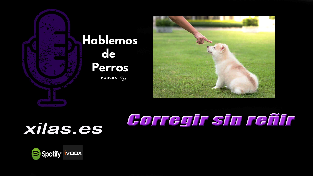 EPISODIO #84: Cómo hacemos los educadores para corregir sin reñir