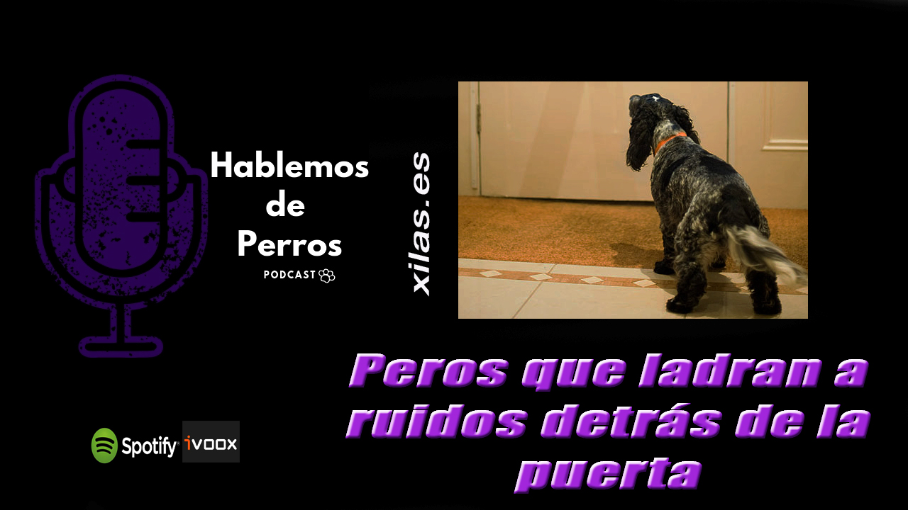 EPISODIO#87: Perros que ladran a ruidos de la puerta