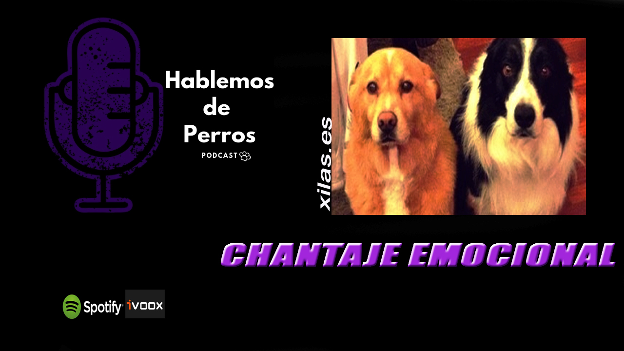 EPISODIO #90: Chantaje emocional