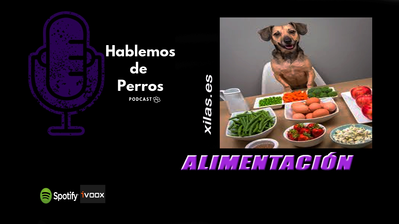 EPISODIO #91: Alimentación y dos trucos breves