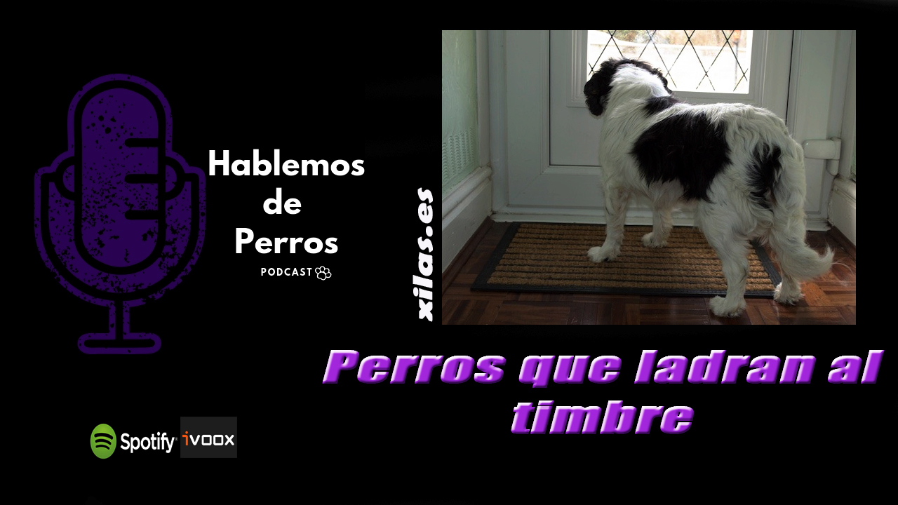 EPISODIO #88: Perros que ladran al timbre.