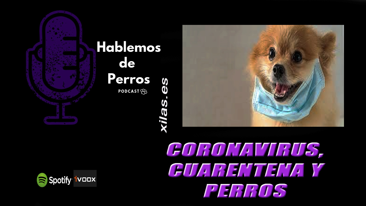 EPISODIO#98: Coronavirus, cuarentena y perros