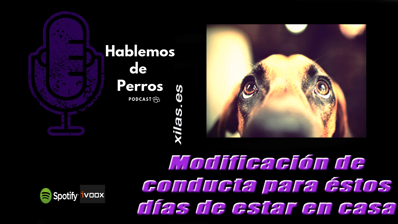 EPISODIO #99: Problemas que puedes trabajar durante el estado de alarma.