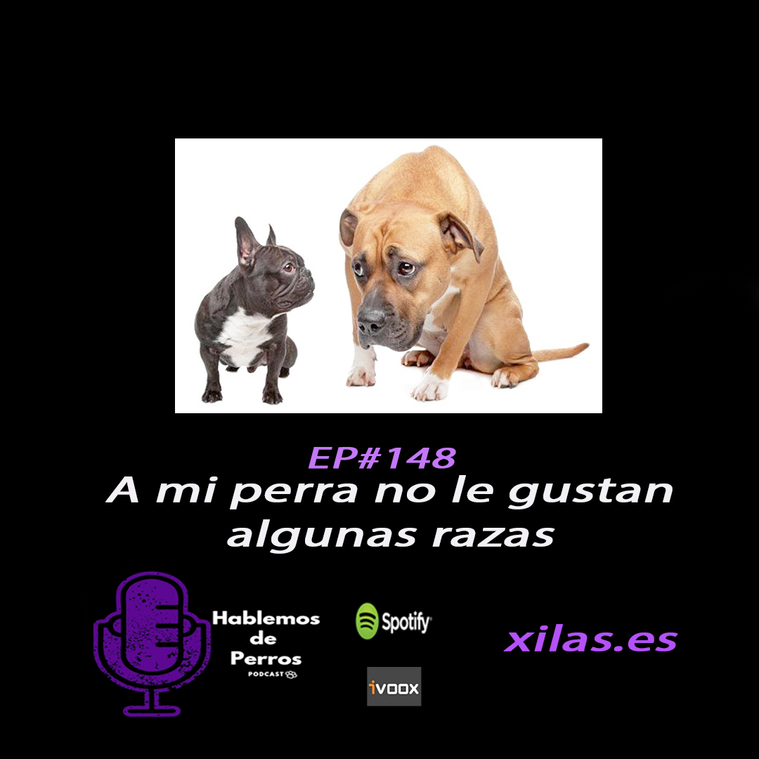 Episodio #148: A mi perra no le gustan algunas razas de perro