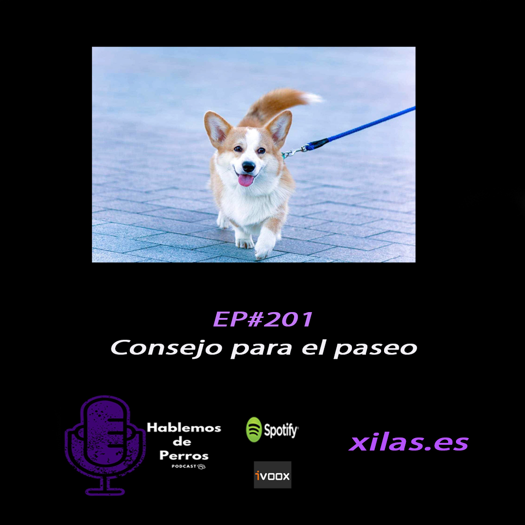 Episodio #201: Consejo para el paseo