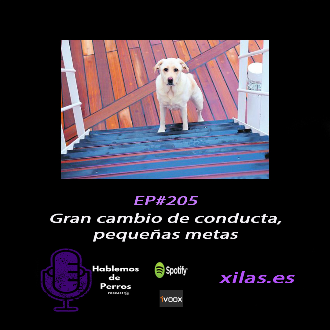 Episodio #205: Grandes cambios, metas pequeñas