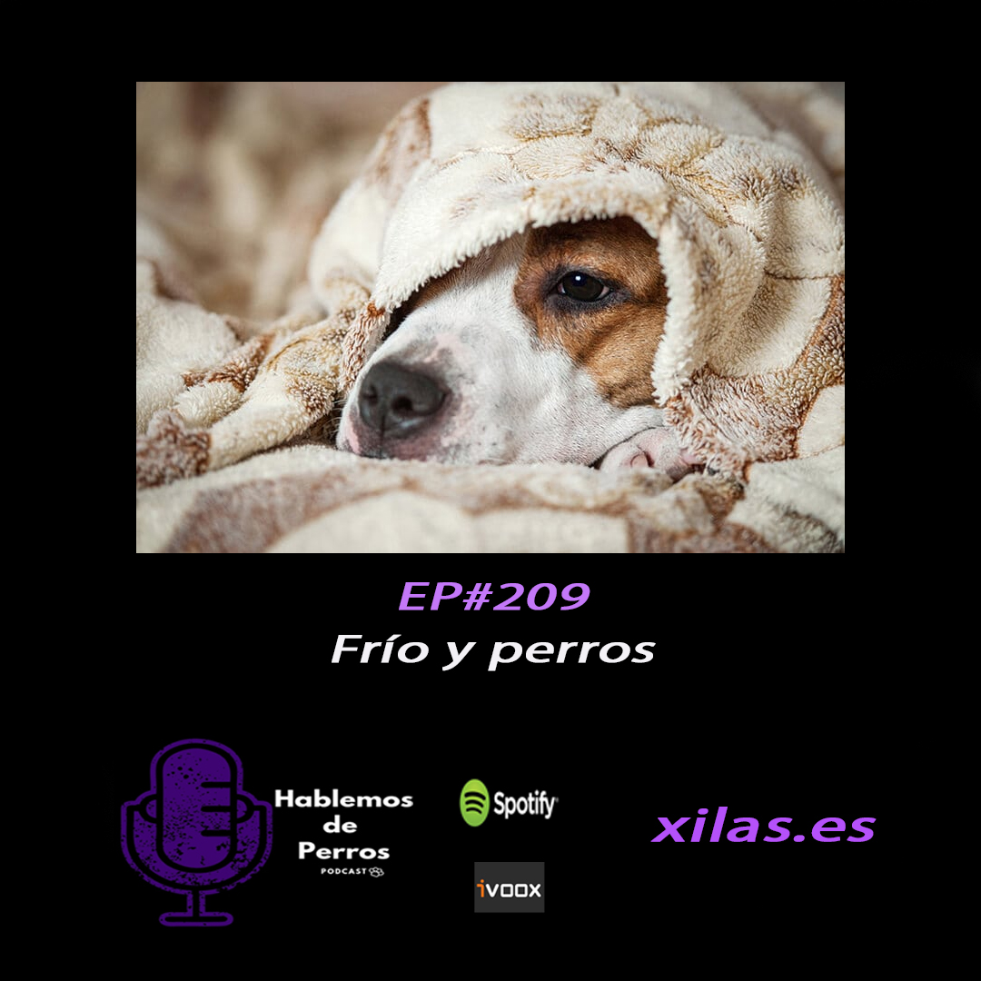 Episodio #209: Frío y perretes