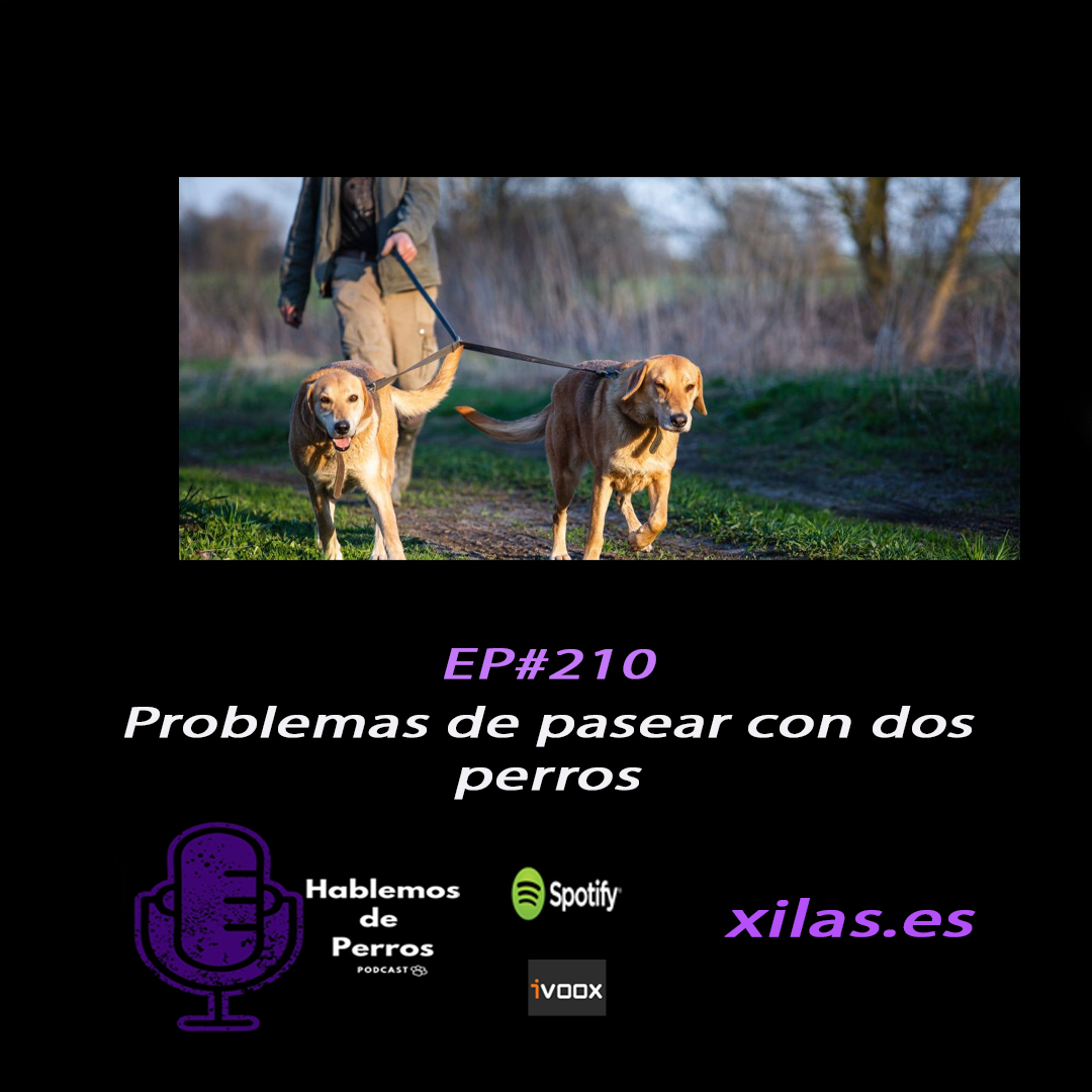 Episodio #210: Problemas de pasear con dos perretes