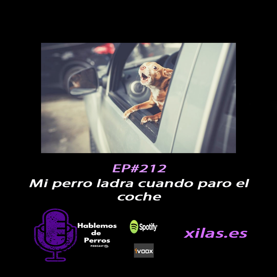 Episodio #212: Mi perro ladra cuando paro el coche