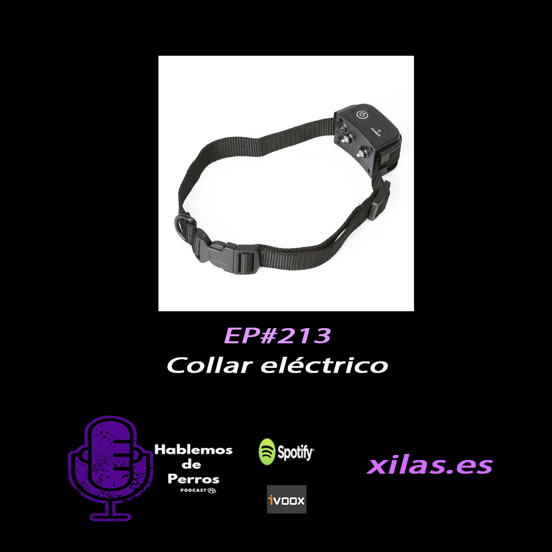 Episodio #213: Collar eléctrico para perros