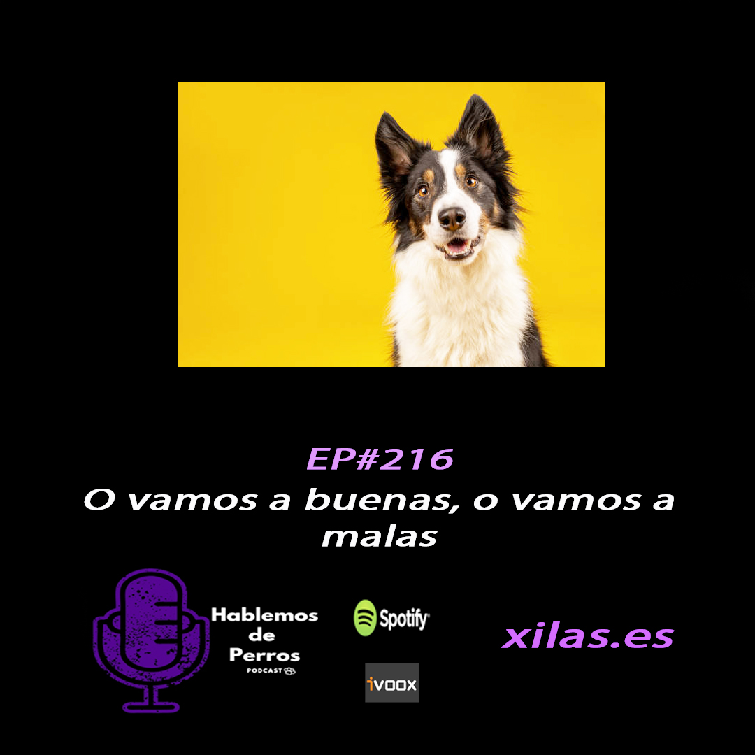 Episodio #216: O vamos a buenas, o vamos a malas