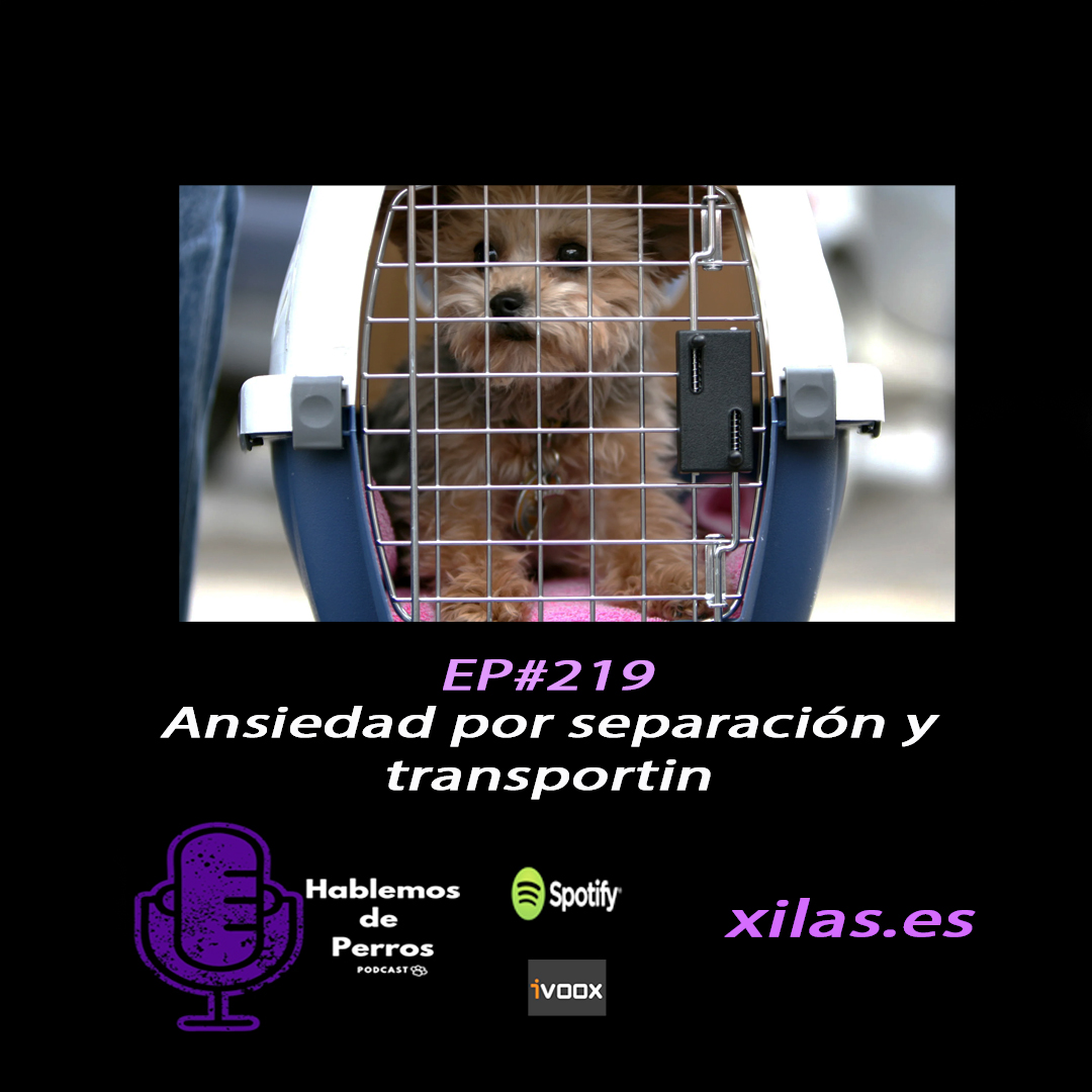 Episodio #219: Ansiedad por separación y transportin