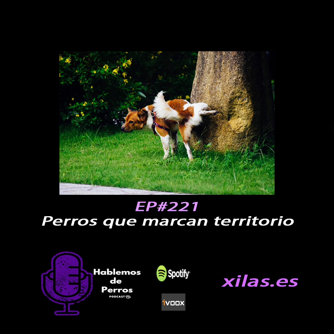 Episodio#221: Perros que marcan territorio