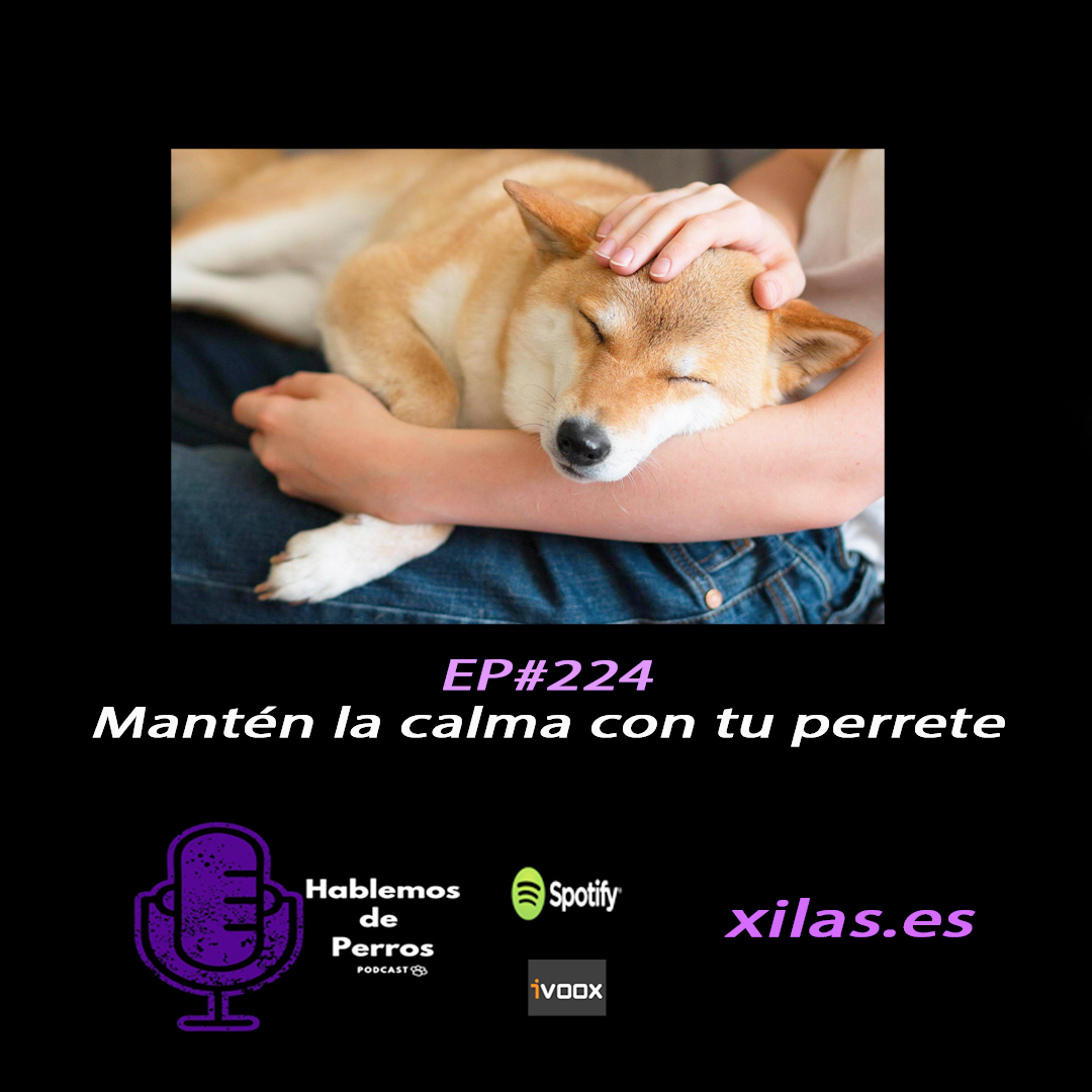 Episodio #224: Mantén la calma con tu perro