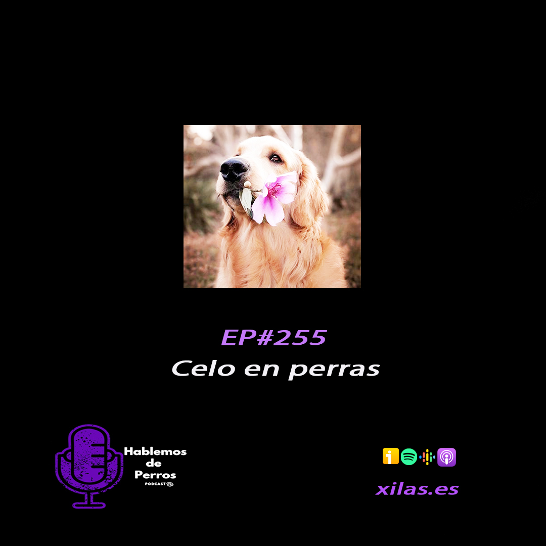 Episodio #255: Celo en perras