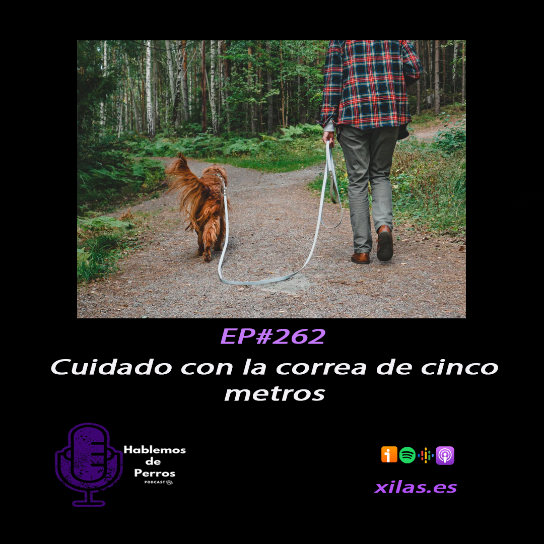 Episodio #262: Consejos sobre la correa de cinco o diez metros.