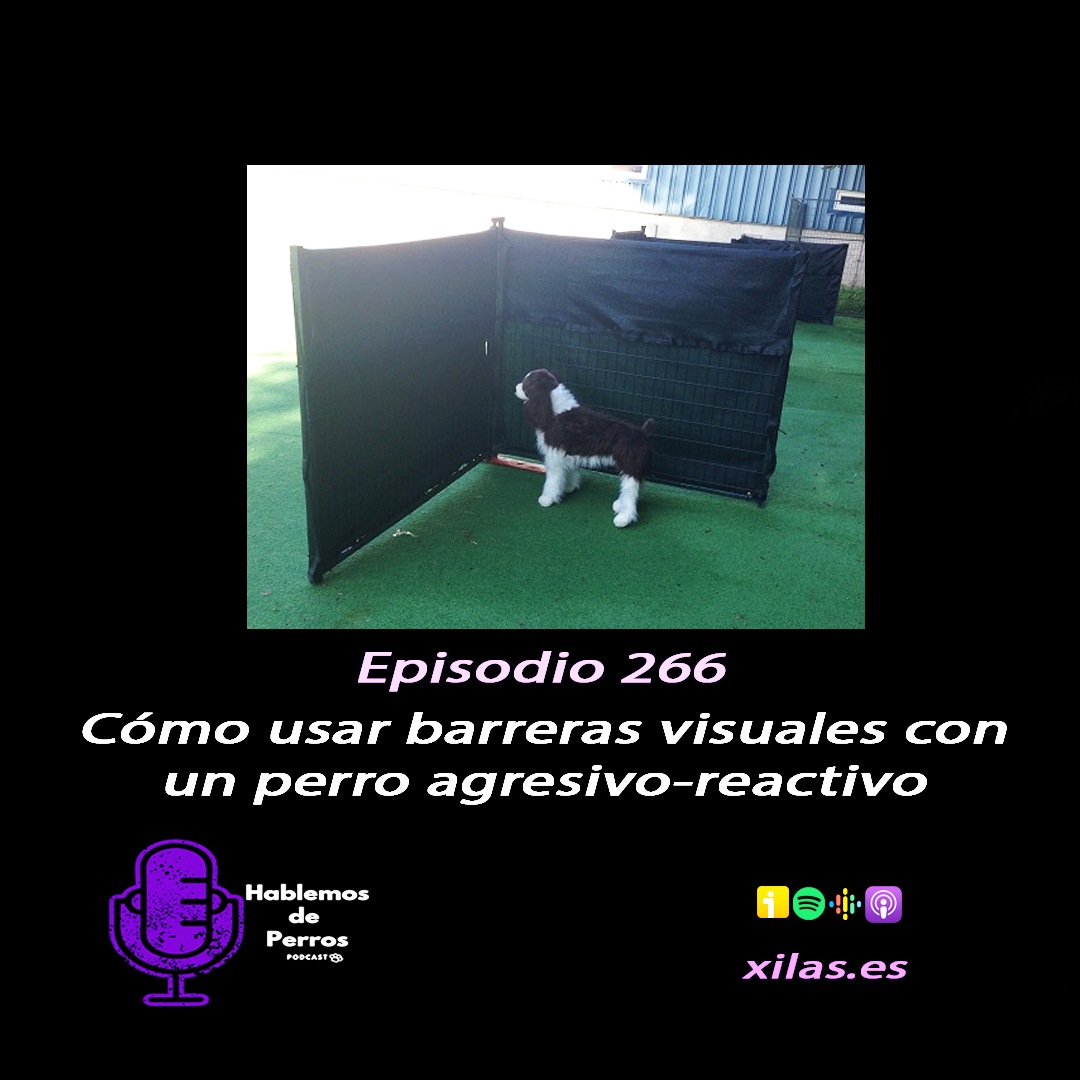 Episodio #266: Cómo usar las barreras visuales trabajando con perros reactivos agresivos