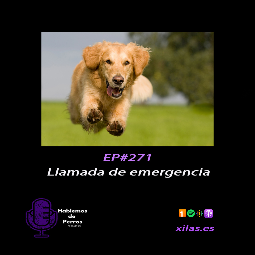 Episodio #271: Llamada de emergencia