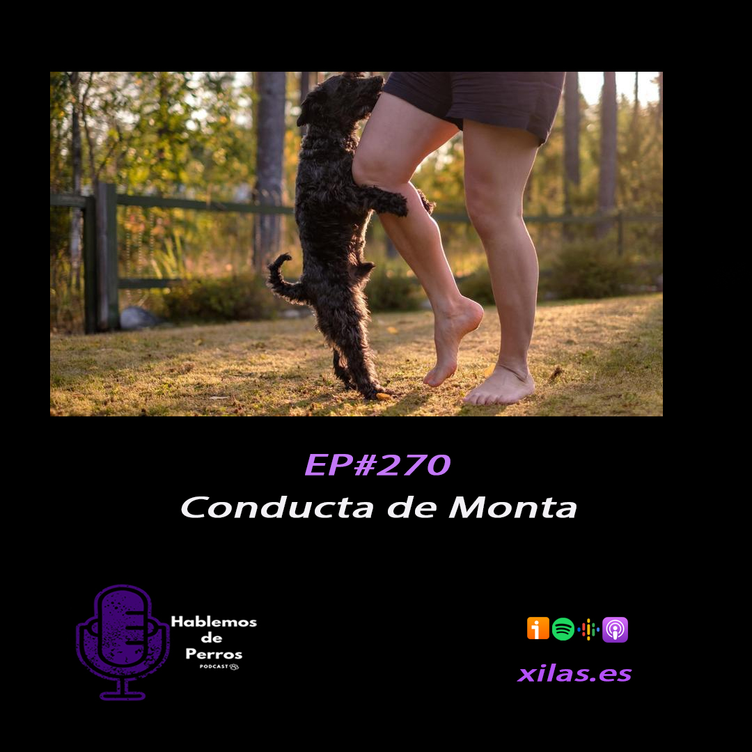 Episodio #270: Conducta de monta