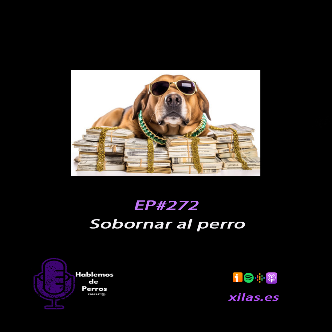 Episodio #272: Sobornar al perro