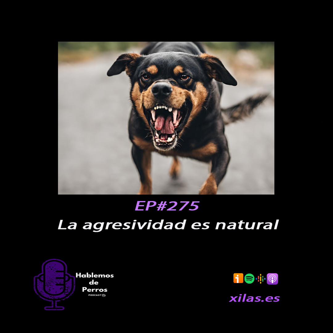 Episodio #275: Agresividad natural