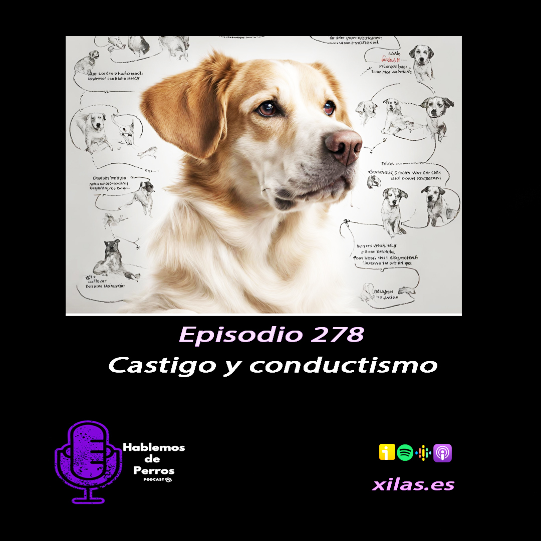 Episodio #278: Castigo y conductismo