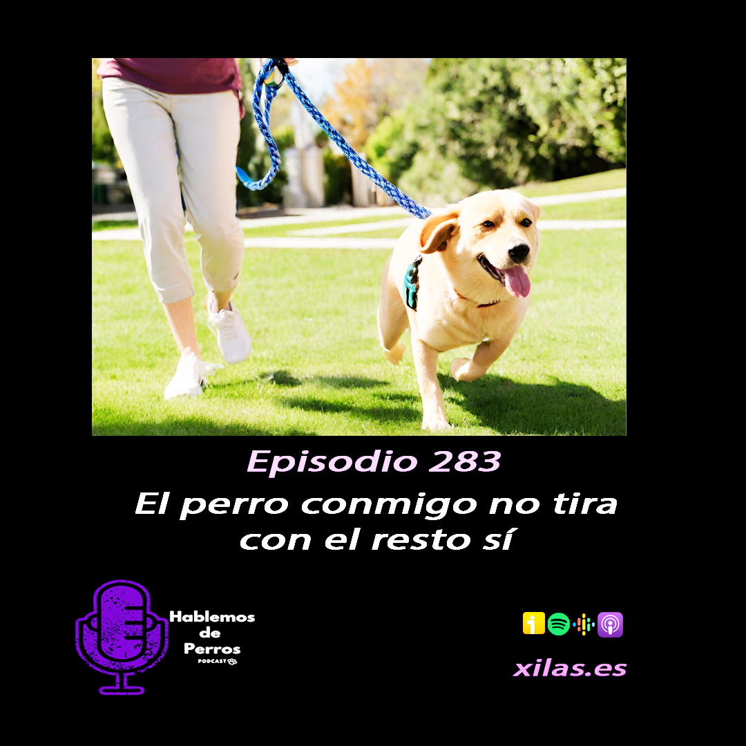 Episodio #283: Mi perro a mi no me tira, al resto sí